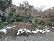 Shota����̒��q��Ղ̓��e�ʐ^1