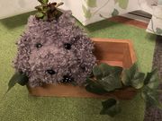 pekõnYLXybg̓eʐ^1