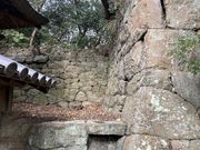 Ƃ񂳂̕{()Ղ̓eʐ^4