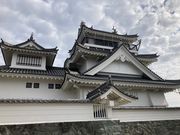 Ƃ񂳂̕{()Ղ̓eʐ^5