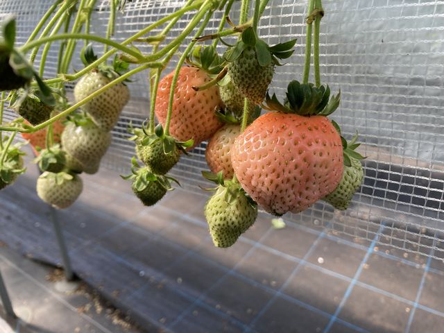 ���O_������