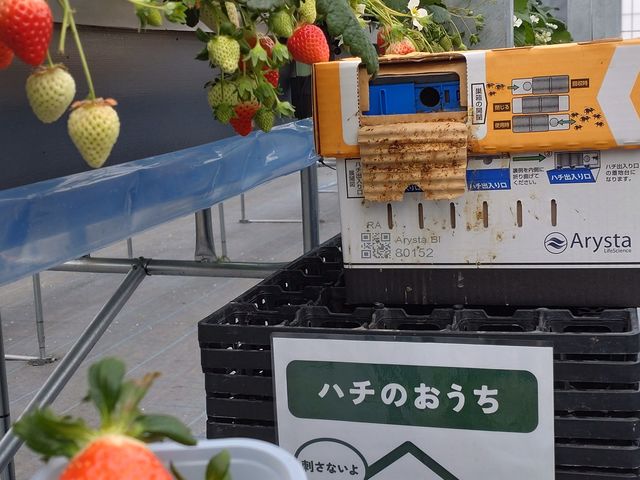 撣n`̂ƂƊÂC`S_PP̓m