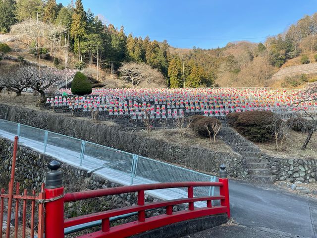 �X�S�C�i�F�I_���q�n����