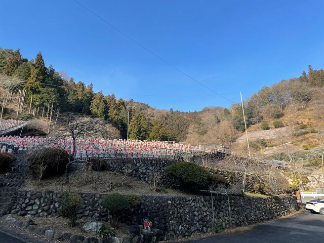 ���Α��I_���q�n����