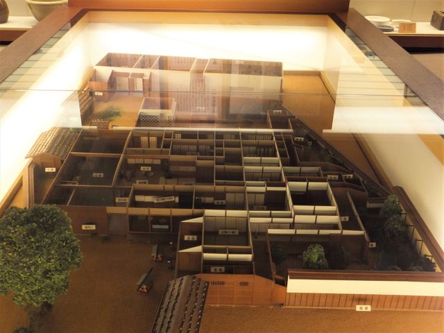 �e�{�w���J�̊Ԏ��͌^�F�傫�Ȍ��������������킩��B_��ؑ]�����j������