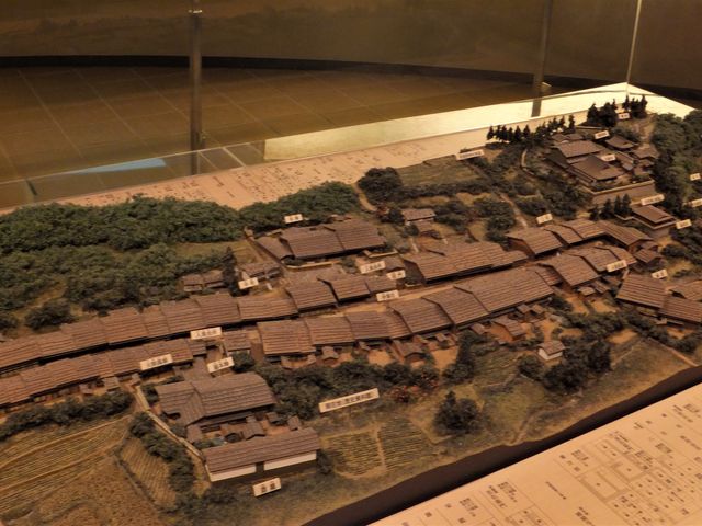 ��������̍��ďh�̍Č��W�I���}�F��Ԏ�O���e�{�w���J_��ؑ]�����j������