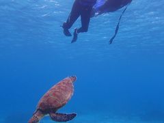 񂳂imtida{Óւ̓eʐ^1