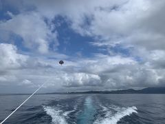 ނ񂳂̃}Vbv }[Chւ̓eʐ^1