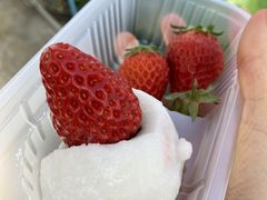 ӂ낤т񂳂̃t@[Nu_ւ̓eʐ^1