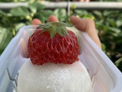 ӂ낤т񂳂̃t@[Nu_ւ̓eʐ^2