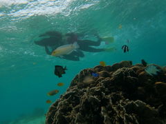 ̃}T[rXނʁ[ւ̓eʐ^1