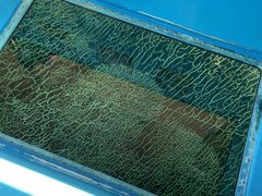 �����ό��D�D�̎ʐ^1