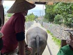 ܂񂳂̔dRόtF[ւ̓eʐ^1