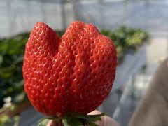 �݂��܂邳��̑t�̐X �Ȃ��� village�ւ̓��e�ʐ^1