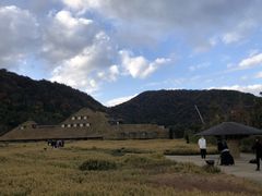 }}̃R[i ߍ]ւ̓eʐ^1