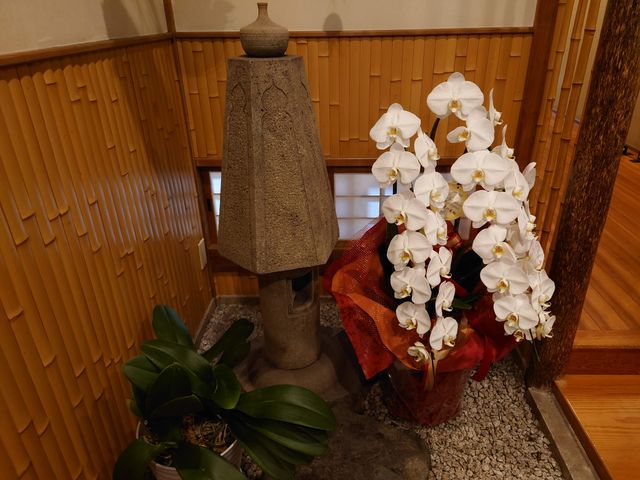 ̍LnƏ{̘aH ْO̓eʐ^8