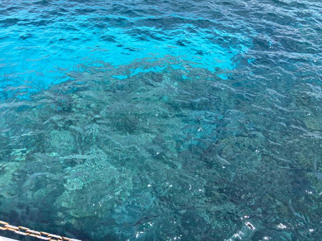 �܂肩��J�\��ł������A�r������Ă���܂����B
����Ă��ق����������ƂĂ��Y��ł����B_�W���C�N���G�C�g���� �e�B�[�_