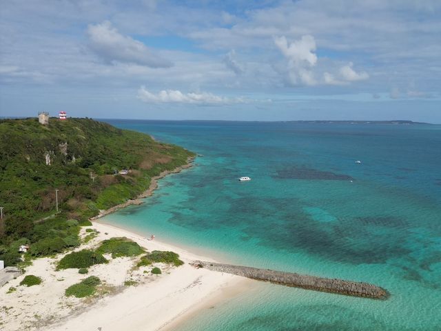 �h���[���ʐ^_���Ⴑ����