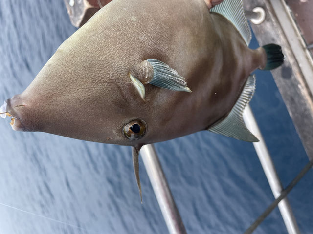 �E�}�Y���n�M_With�]Ocean