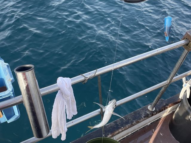 �����A�W�I_With�]Ocean