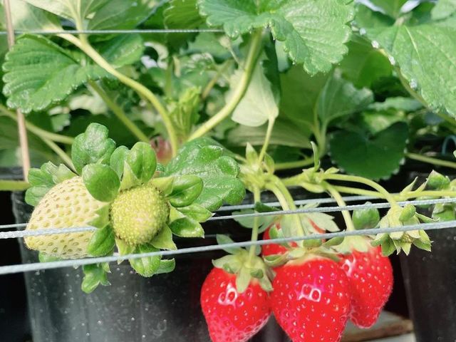 �������������ł���_�E�L�E�L����������ό��_��