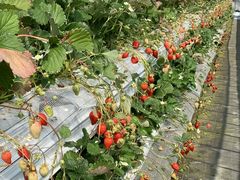 炢̔_YL삭̑ւ̓eʐ^1