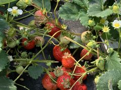 炢̔_YL삭̑ւ̓eʐ^2