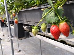 jofû񂢂t@[ւ̓eʐ^3