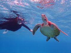 eikochachaimtida{Óւ̓eʐ^2