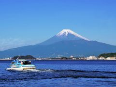 TC̃cm̂킵܃}p[Nւ̓eʐ^1