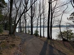 ����������̂Ƃ�������ւ̓��e�ʐ^8