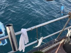 With�]Ocean�̎ʐ^4