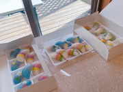 񂳂̊؍َq Panpuril̓eʐ^2