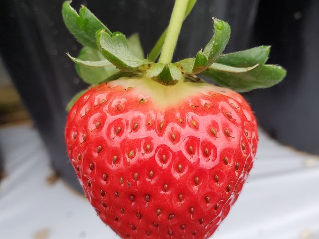 �n�[�g�C�`�S�I_�E�L�E�L����������ό��_��