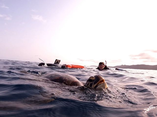 �T�Ɖj���A�̓��A�ɍs���܂����B_�u���[���O�[���Ί_��