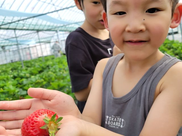 ���܂���_�ό��_�����E�t���[�Y