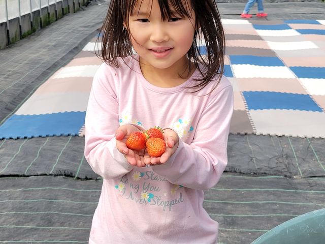 ��������_�ό��_�����E�t���[�Y