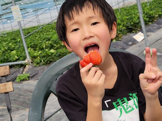 ����ł́A�����i�΁j_�ό��_�����E�t���[�Y