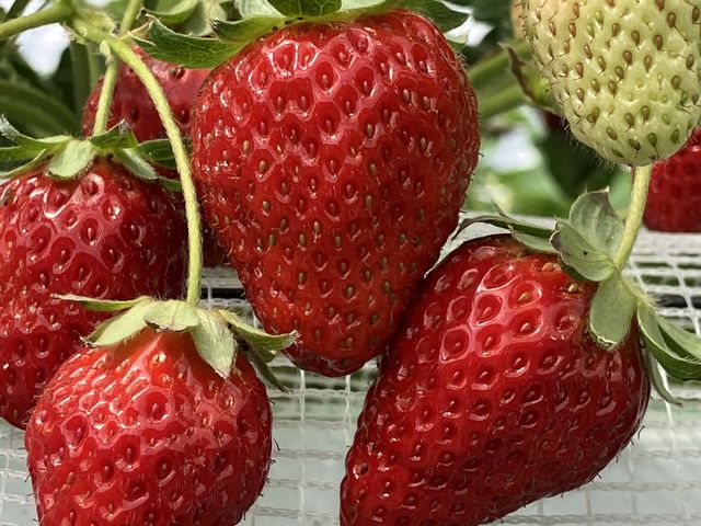 ����������_�����_��