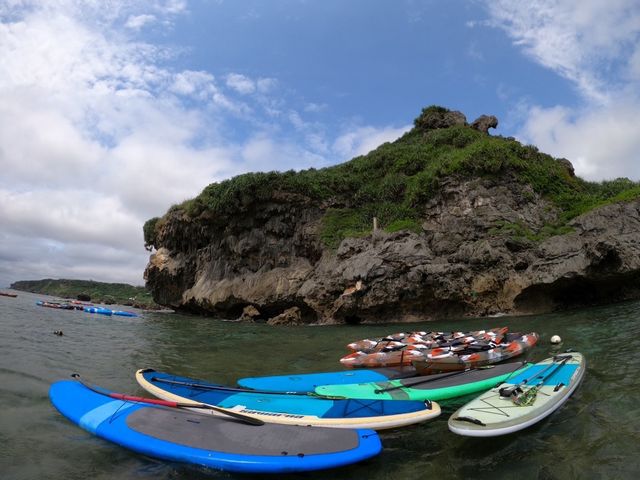 �W�����̃{�[�h���J���b�N_�V���m�[�P���c�A�[�@��`��