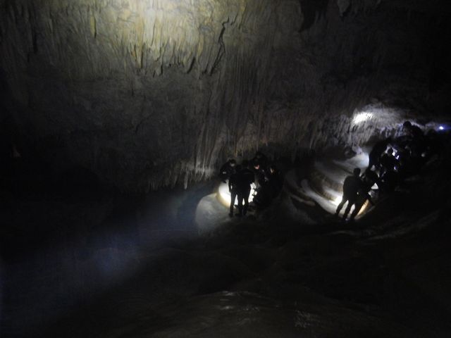 �Èł̒���i�݂܂�_�V���m�[�P���c�A�[�@��`��