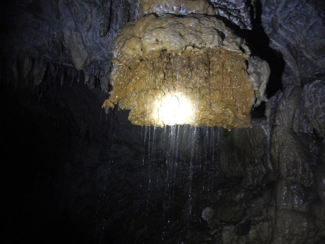 ���߂��܂��I
_�V���m�[�P���c�A�[�@��`��