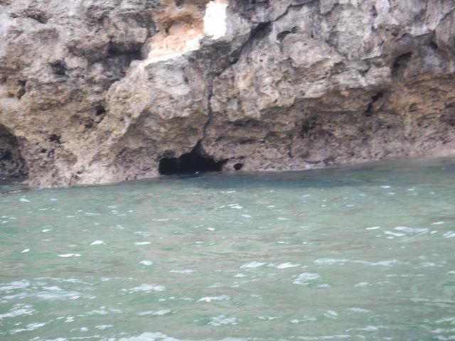 �o����_�V���m�[�P���c�A�[�@��`��