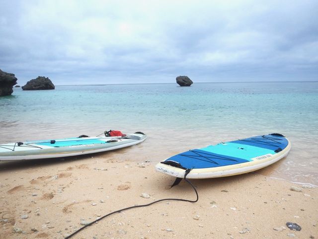 �ۗǐ�r�[�`����_�V���m�[�P���c�A�[�@��`��