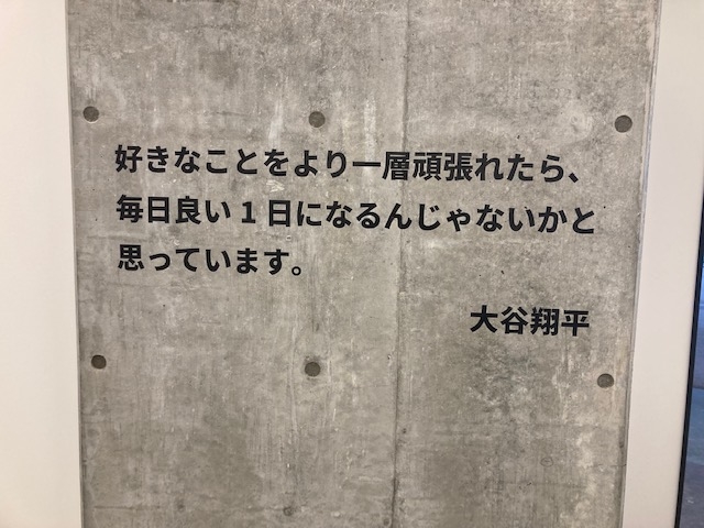 �ĕ��搶�̂����t_�k�C���{�[���p�[�NF�r���b�W