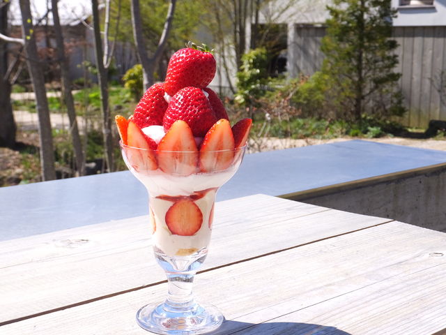 䕂̃p�t�F_�x�m��΃n�i�e���X