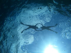 `F`F̃}T[rXނʁ[ւ̓eʐ^1