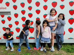 }}̊ό_Et[Yւ̓eʐ^1