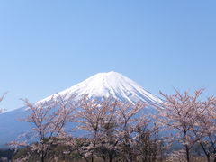 jR񂳂̕xm΃nieXւ̓eʐ^2