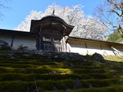 �O���`������̏�ƍc���̓��e�ʐ^1